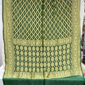 Premium Pure Banarasi Georgette Saree - Leaf Green (PBG-06)